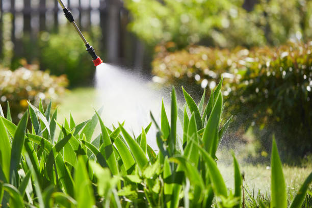 24/7 Emergency Termite Control experts in Shenandoah Heights, PA