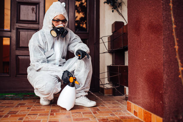 Reliable Termite Control contractor in Shenandoah Heights, PA by Nex Pest Control