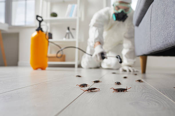 Trusted Termite Control service in Shenandoah Heights, PA - Nex Pest Control